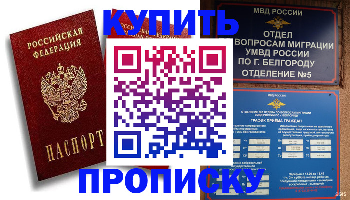 прописка иностранных граждан в Калининградской области